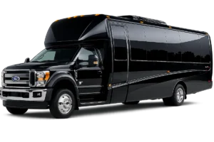 Executive Mini Bus